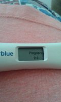 pregnant 2 to three weeks.jpg