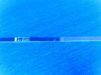 2008_1112random00202.jpg