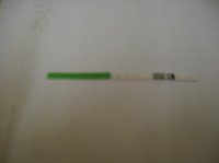 SANY0304.jpg