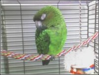 sleeping.jpg