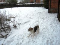 The Snow!.JPG