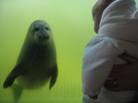 Sealife Center 4.jpg