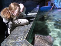 Sealife Center 2.jpg