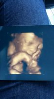 baby.jpg