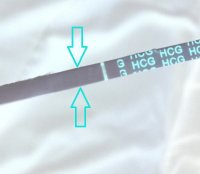 6dpo3.jpg