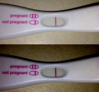 FRER_0630.jpg