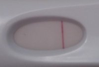 Pic1.jpg