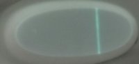Pic2.jpg