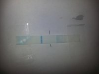 20150713_150723.jpg