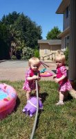 twins.jpg