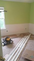 2015-07-23 10.59.48.jpg