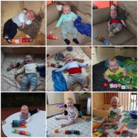 Fabi 9 Month Comparison.jpg