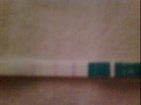 Bec_ov_25_02_10.jpg