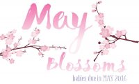 MAY design2-1.jpg