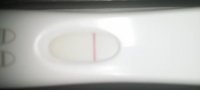 8DPO FRER paint.jpg