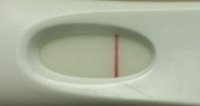 10dpo upclose.jpg