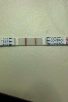 aug 2015 positive opk.jpg