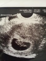8weeks (1).jpg
