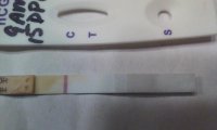 firstsignal15dpo2.jpg