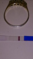 12 dpo.jpg