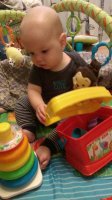 teddy 6 months.jpg