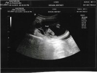 Scan.jpg