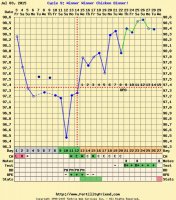pregnancy chart.jpg