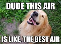 best air.jpg