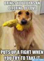 omg-cute-things-100612_081.jpg