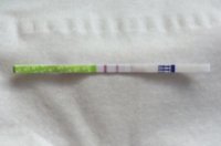 todaysopk14dpo.jpg