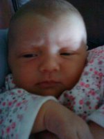 Abbi at 9 days old.jpg