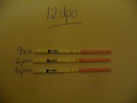 opk cd12 007_1210x907.jpg