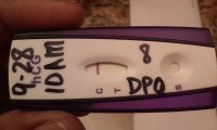 FirstSIgnal-8dpo.jpg