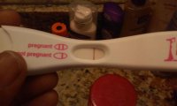 FRER-9dpo2.jpg