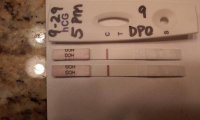 FirstSignal-9dpo.jpg