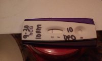 FirstSignal-10dpo.jpg