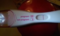 FRER-11dpo.jpg