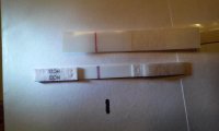 FrerFirstSignal-11dpo.jpg