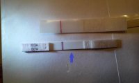 FrerFirstSignal-11dpo.jpg