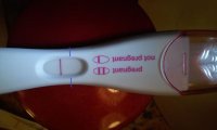 FRER-11dpo.jpg