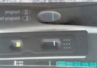 image-9.jpg
