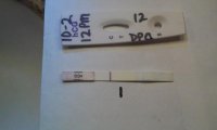 FirstSignal-12dpo2.jpg