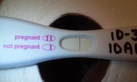 FRER-13dpo.jpg