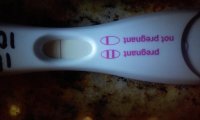 FRER-13dpo3.jpg