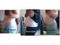 33-35 weeks.jpg