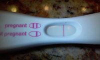 FRER-15dpo.jpg