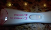 FRER-15dpo2.jpg