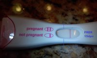 FRER-15dpo2.jpg