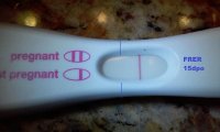 FRER-15dpo.jpg