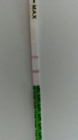 Copy of Opk.jpg